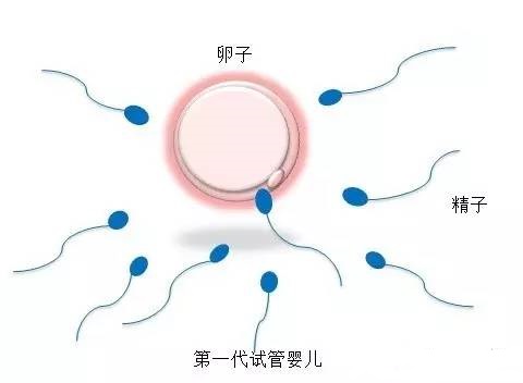 青瓷医疗